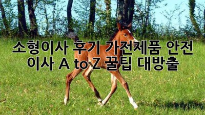 📦 소형이사 후기: 가전제품 안전 이사 A to Z! 꿀팁 대방출 ✨